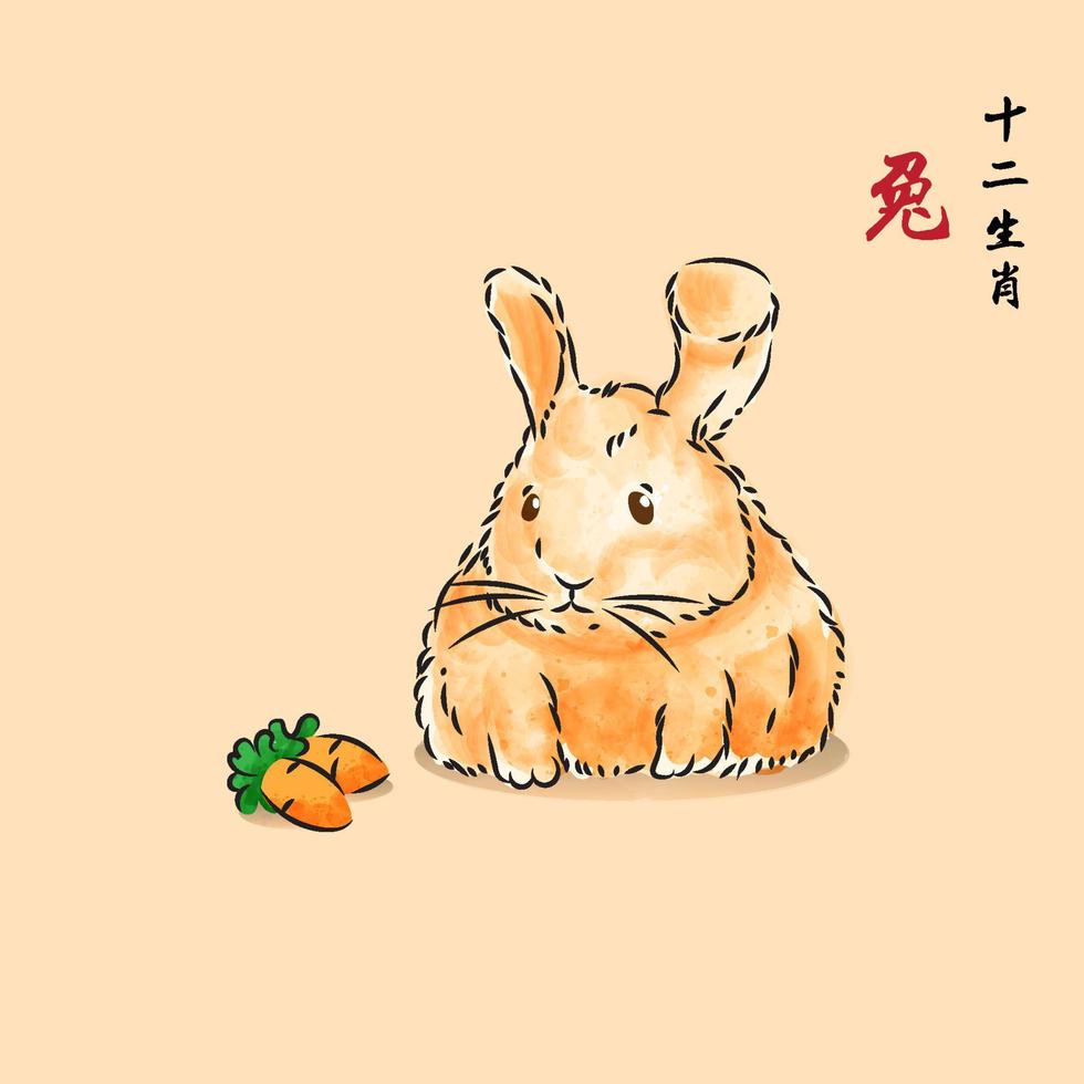 lapin potelé animal vector illustration aquarelle avec texte chinois traduit est 12 lapin du zodiaque