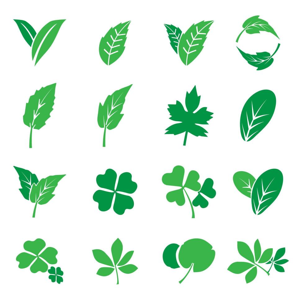 l'image vectorielle de l'ensemble de feuilles pour le concept eco ou spa vecteur
