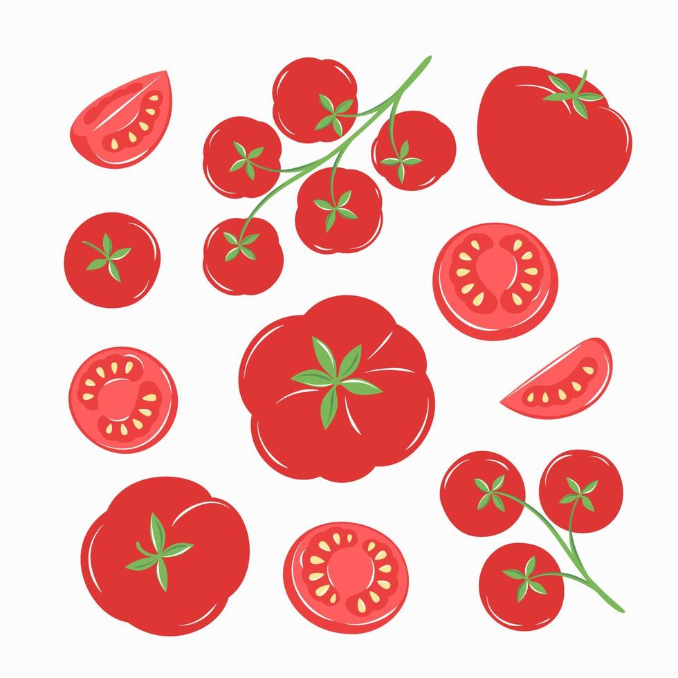 ensemble de tomates isolé sur fond blanc. légumes entiers et tranchés. illustration vectorielle vecteur