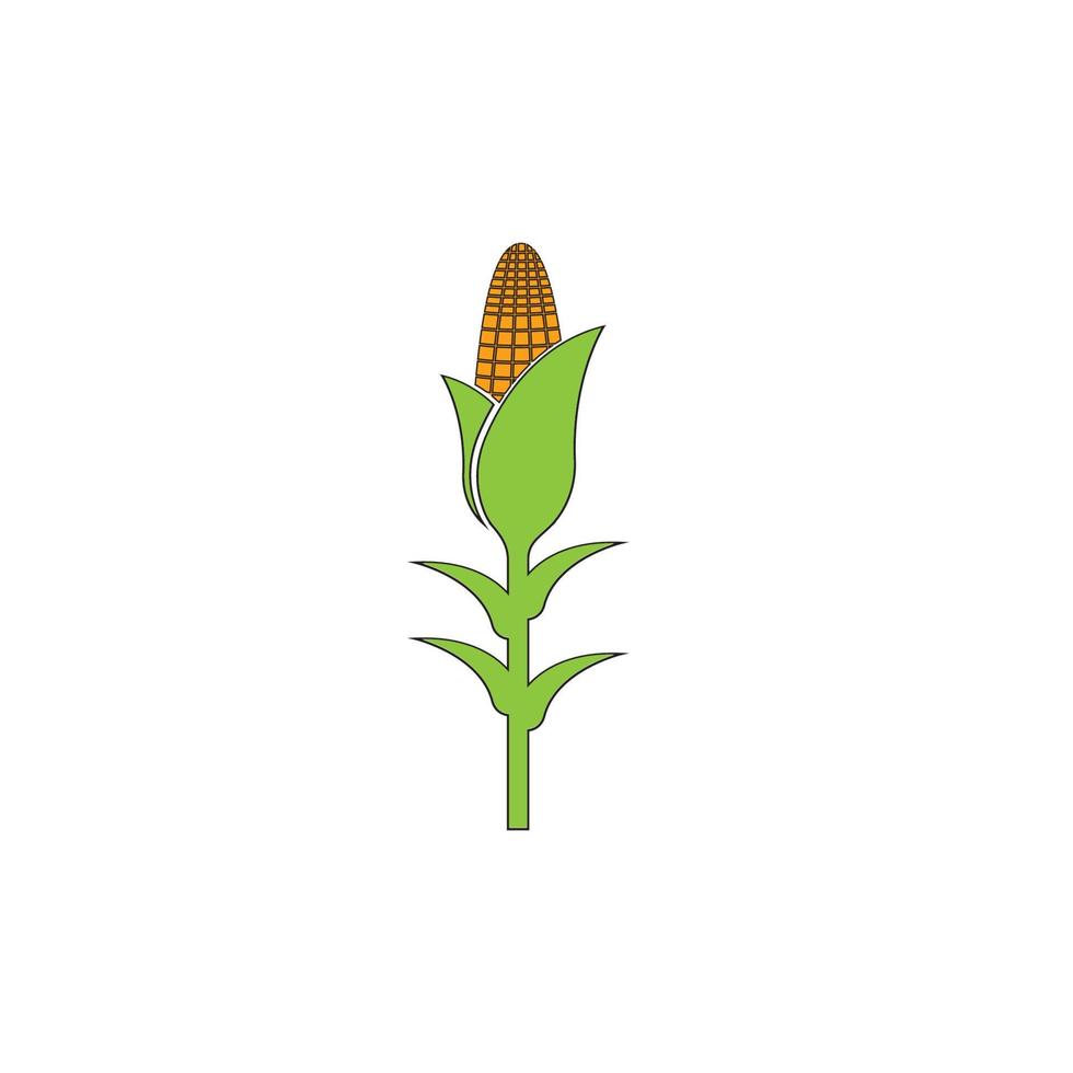 icône de maïs. conception de modèle d'illustration vectorielle vecteur