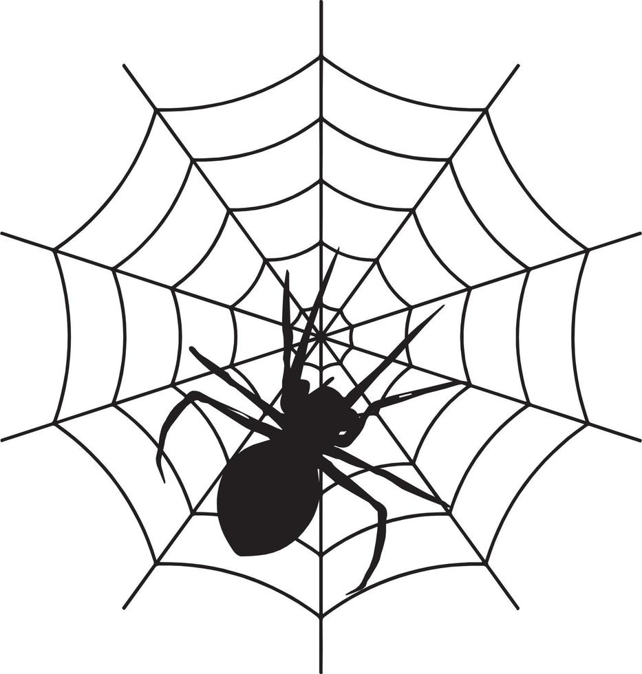 icône de vecteur d'araignée modifiable