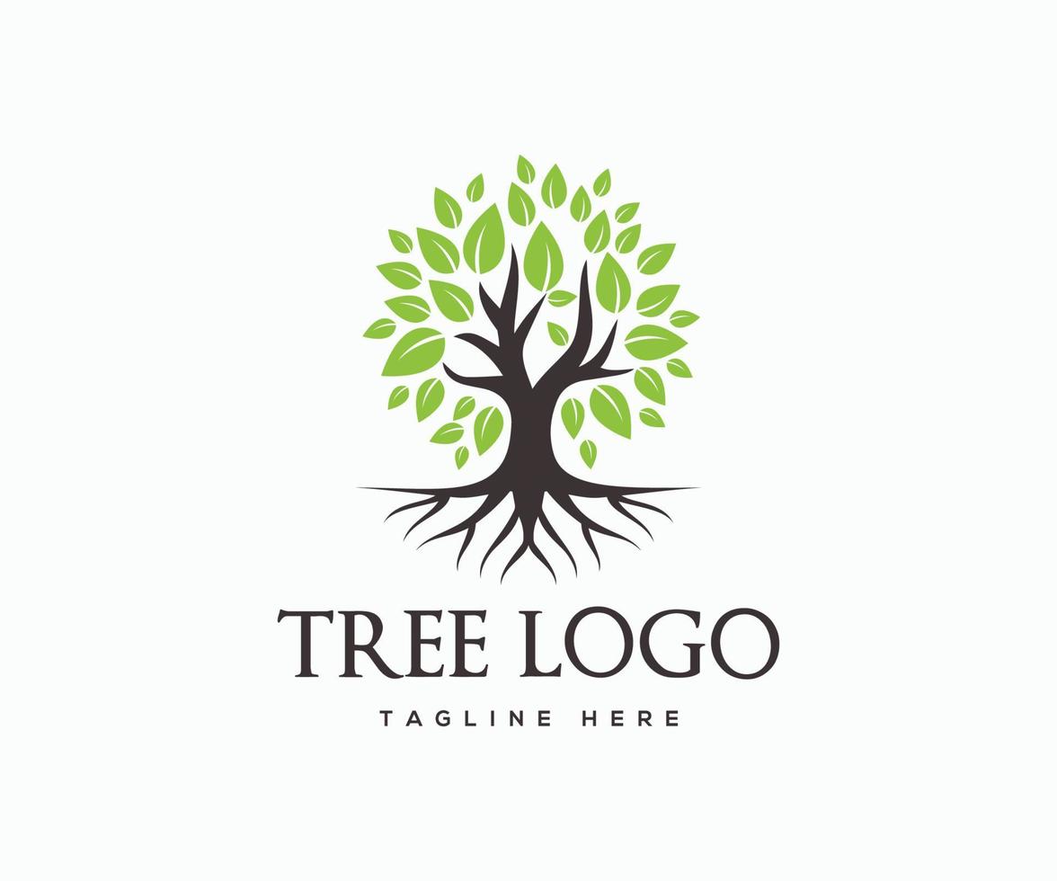 modèle de vecteur de conception de logo arbre