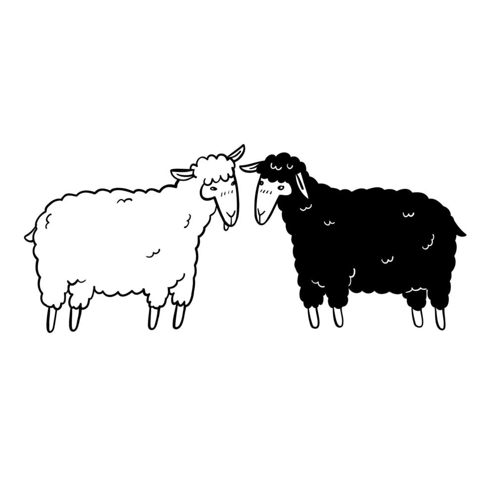 le mouton noir et blanc, illustration vectorielle dessinés à la main vecteur