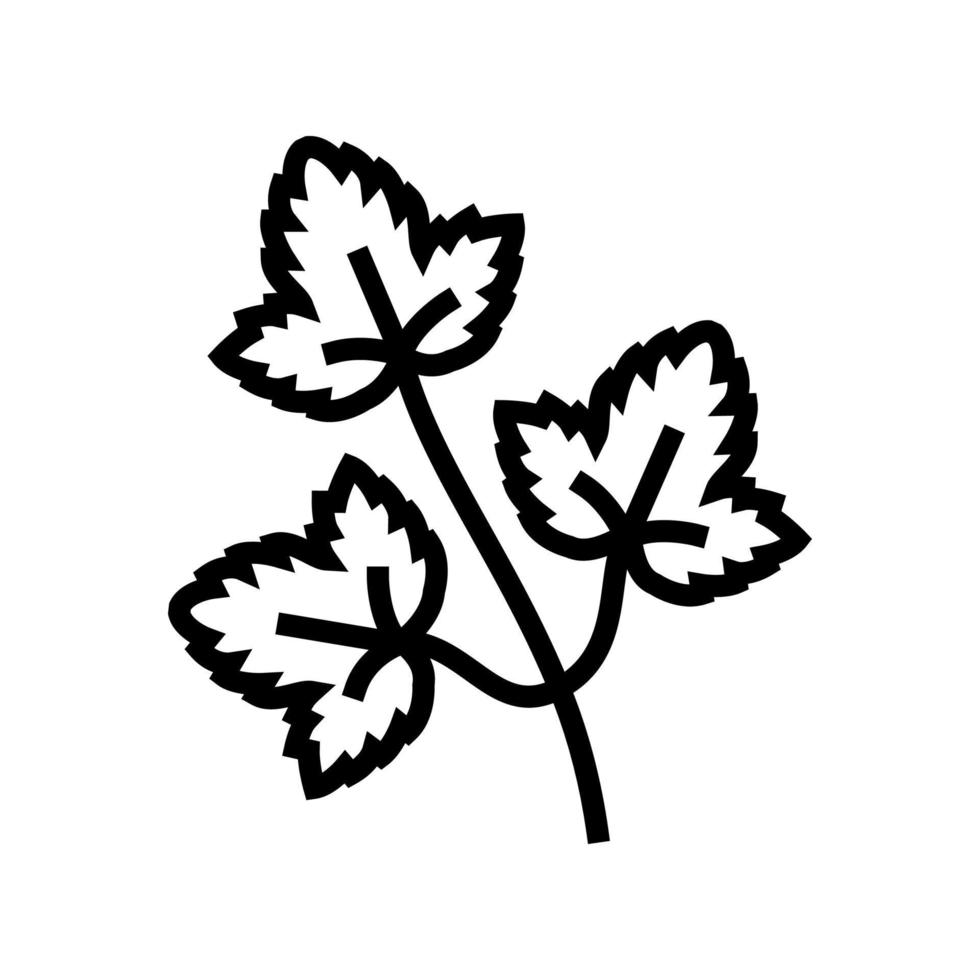 feuilles de coriandre ligne icône illustration vectorielle vecteur