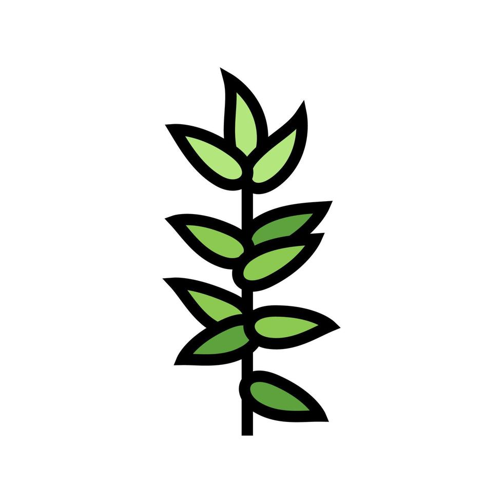 feuillage branche couleur icône illustration vectorielle vecteur