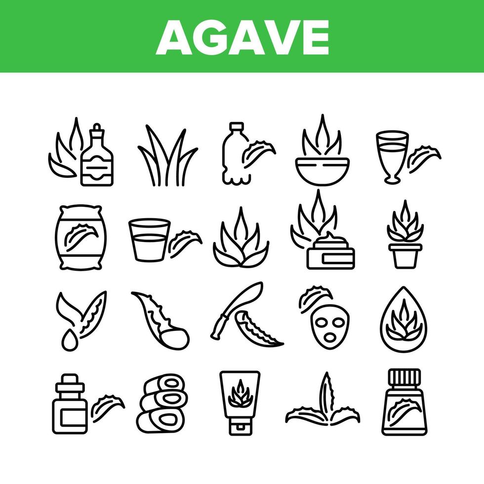 agave, aloe vera, plante, collection, icônes, ensemble, vecteur