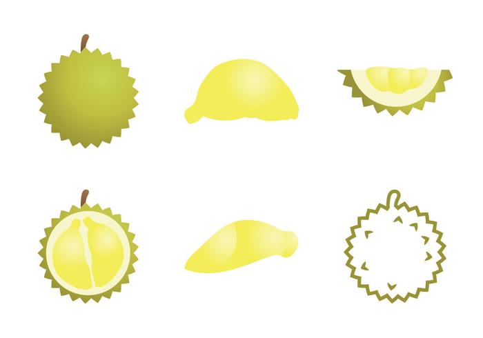 Illustration libre du Durian vecteur