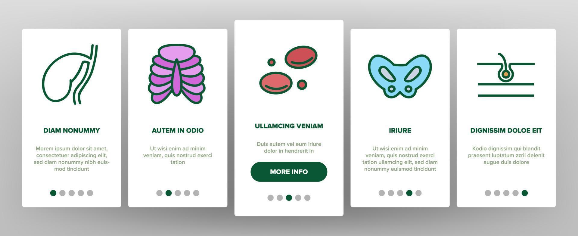 organes anatomiques onboarding icons set vector