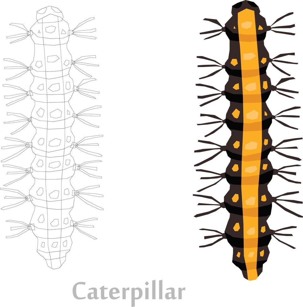 croquis d'insectes à l'illustration vectorielle vecteur