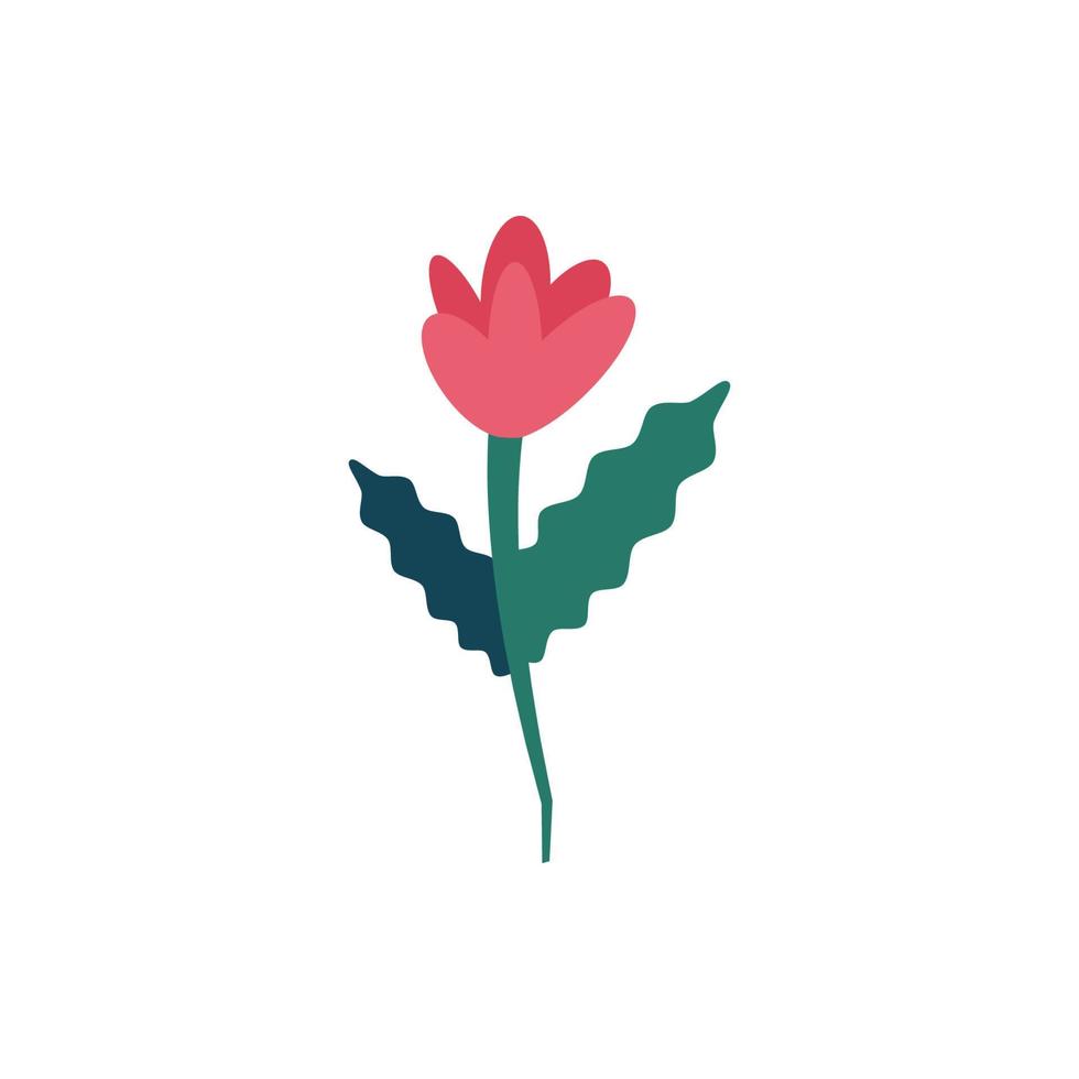 illustration vectorielle colorée dessinée dans un style plat. convient aux livres, articles, sites Web, applications, etc. image de tulipe aux feuilles vert foncé vecteur