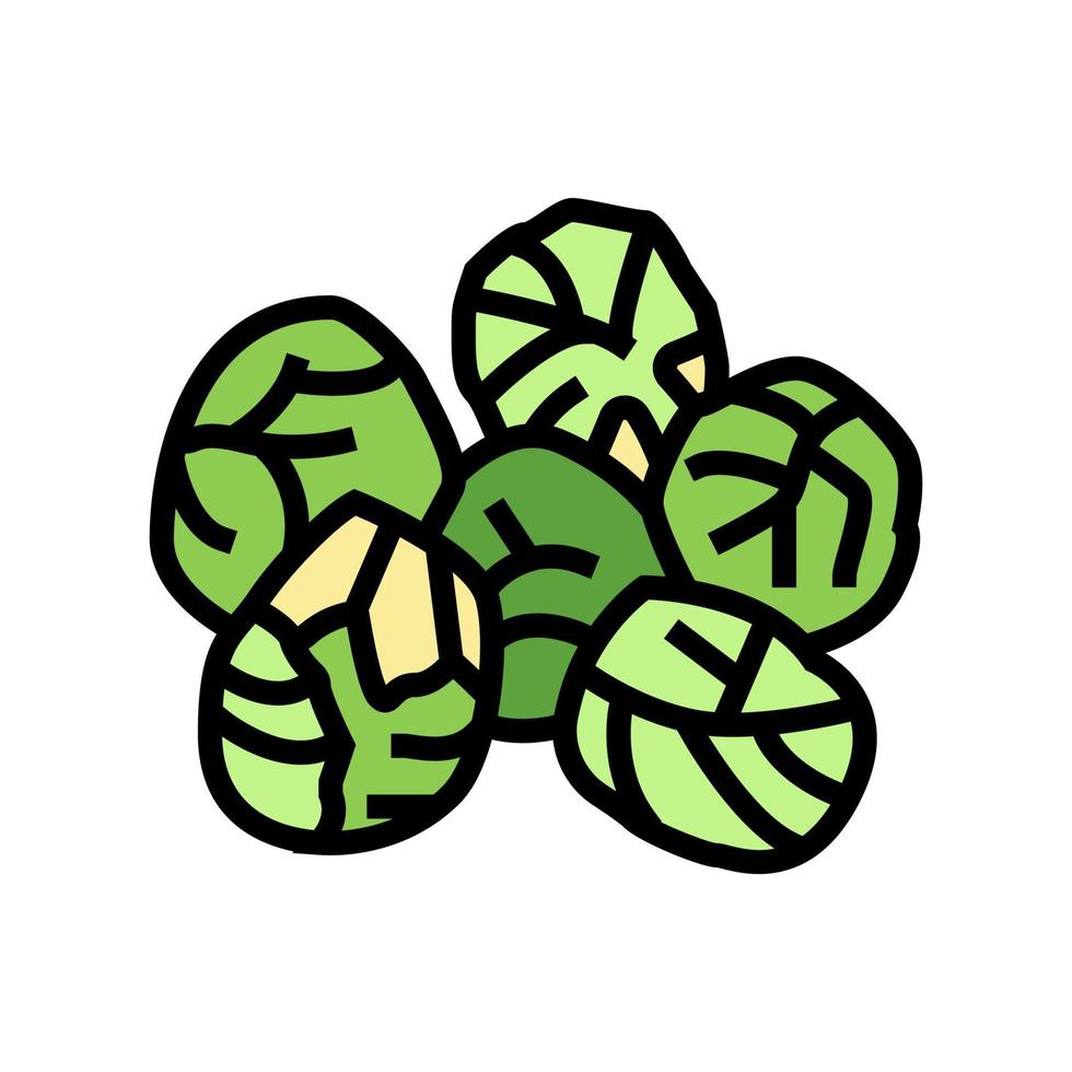 illustration vectorielle d'icône de couleur de chou de bruxelles vecteur
