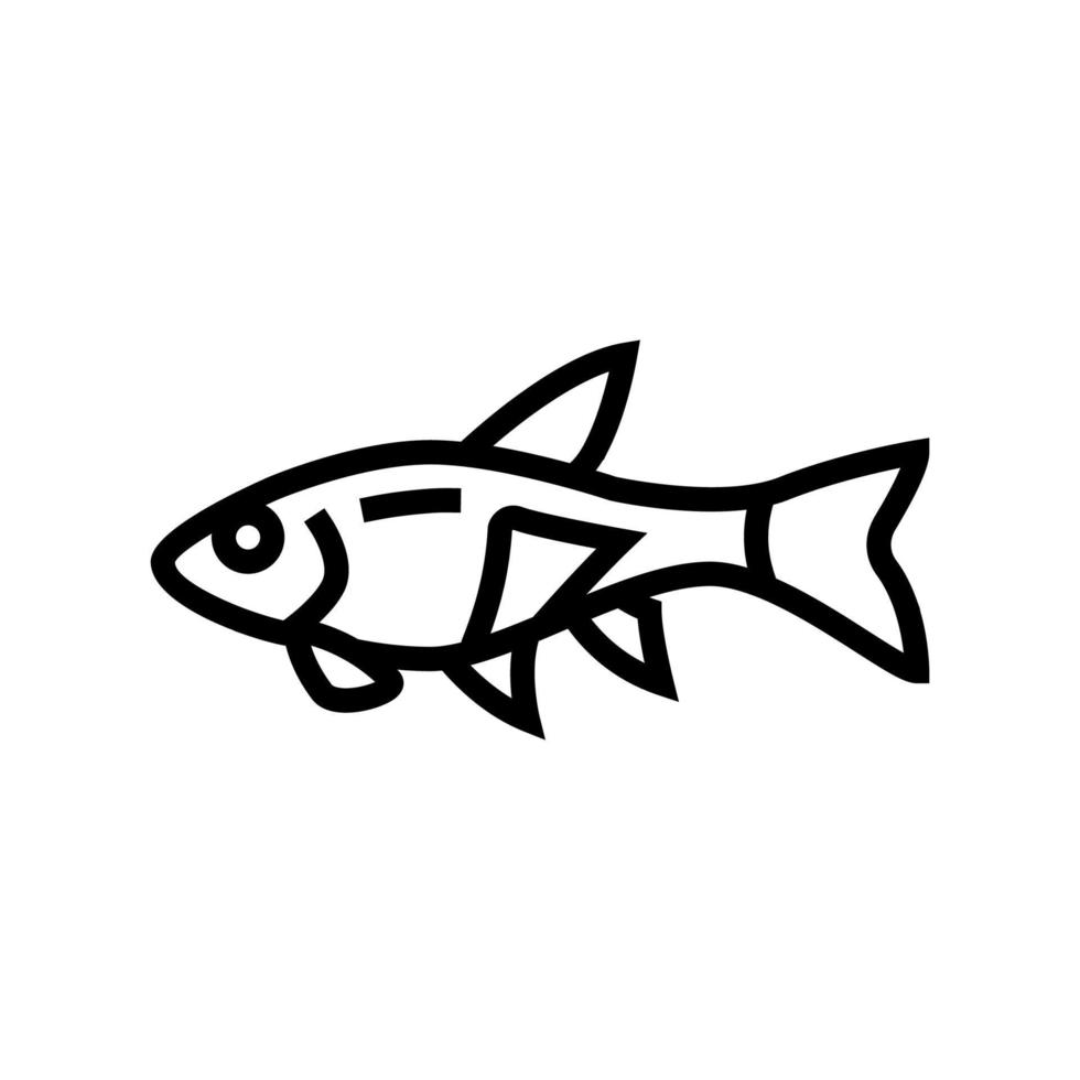 illustration vectorielle de l'icône de la ligne de poisson rasbora vecteur