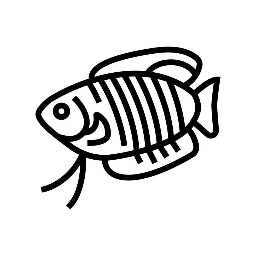 illustration vectorielle de l'icône de la ligne de poisson gourami vecteur