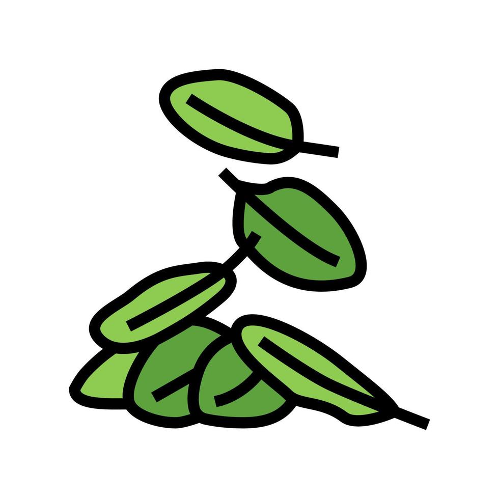 feuilles épinards couleur icône illustration vectorielle vecteur