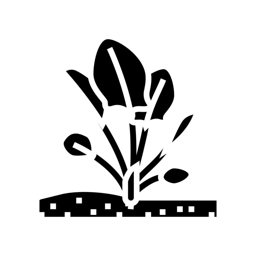 plante épinards croissance glyphe icône illustration vectorielle vecteur