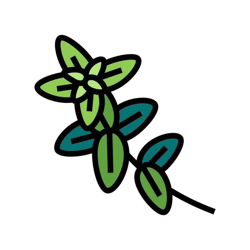 illustration vectorielle d'icône de couleur de branche de plante d'origan vecteur