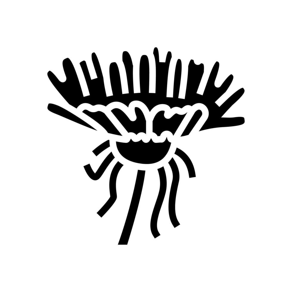 pissenlit fleur bourgeon glyphe icône illustration vectorielle vecteur