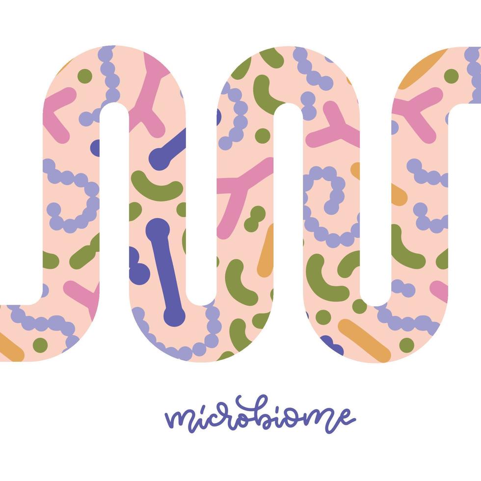 bannière de microbiome intestinal avec tripes abstraites. microbiote intestinal humain avec des bactéries probiotiques saines. illustration de médecine abstraite vecteur plat de bilan de microbiologie.