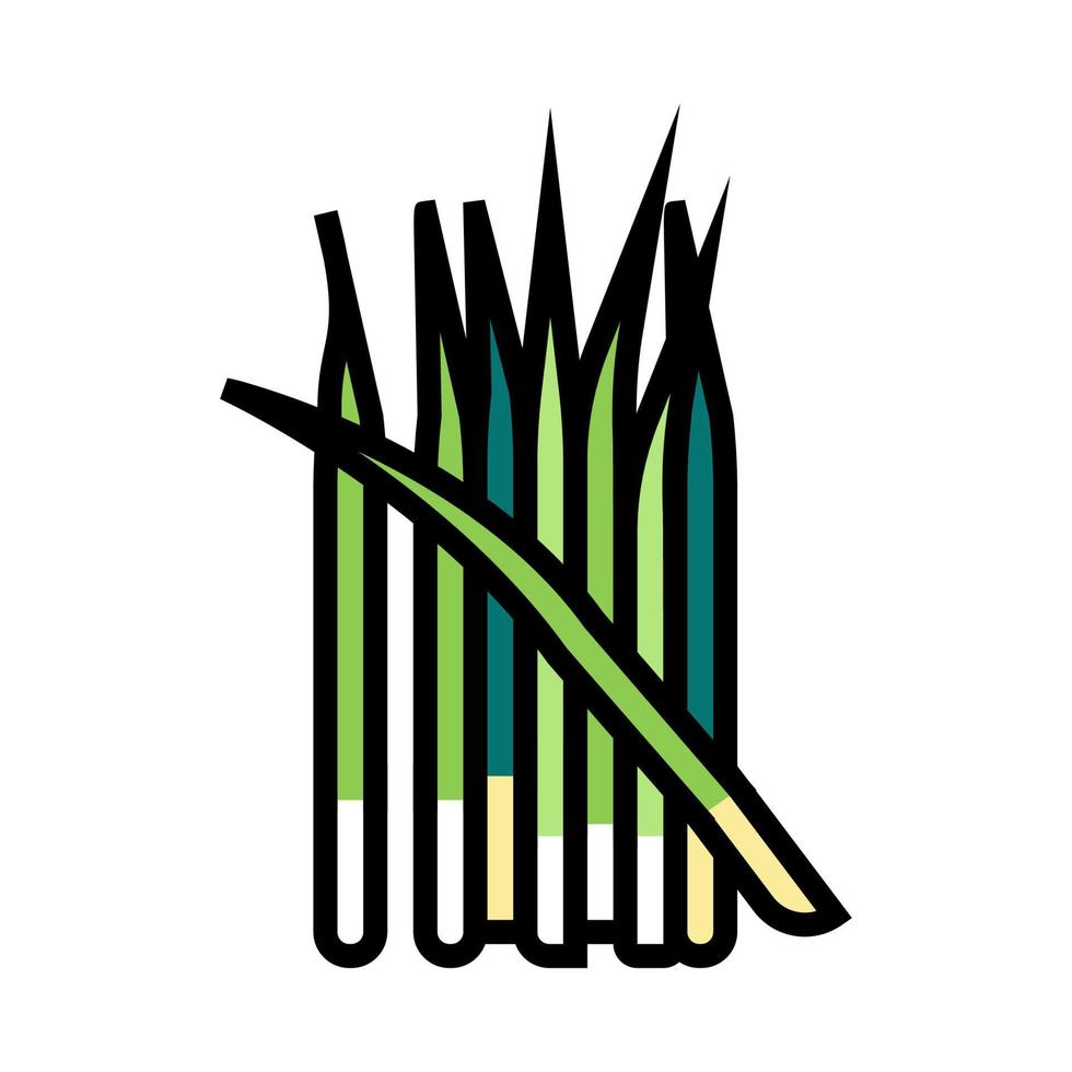 illustration vectorielle d'icône de couleur d'oignon de plus en plus vert vecteur