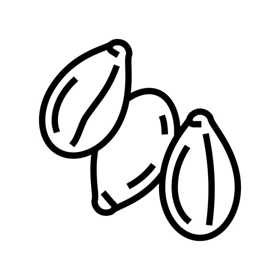 illustration vectorielle de l'icône de la ligne de graines de sésame vecteur