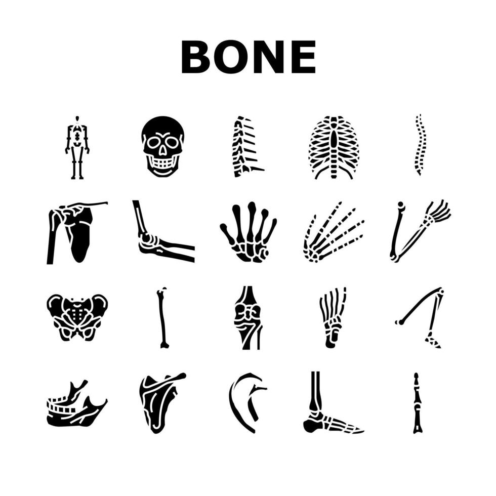 os, squelette humain, structure, icônes, ensemble, vecteur