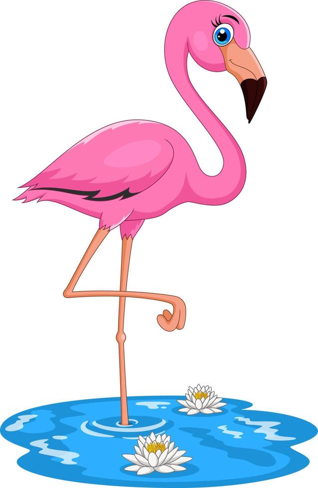 oiseau flamant rose dessin animé vecteur