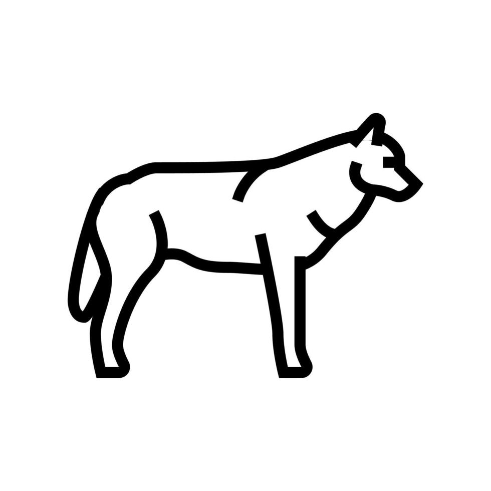 loup, animal sauvage, ligne, icône, vecteur, illustration vecteur