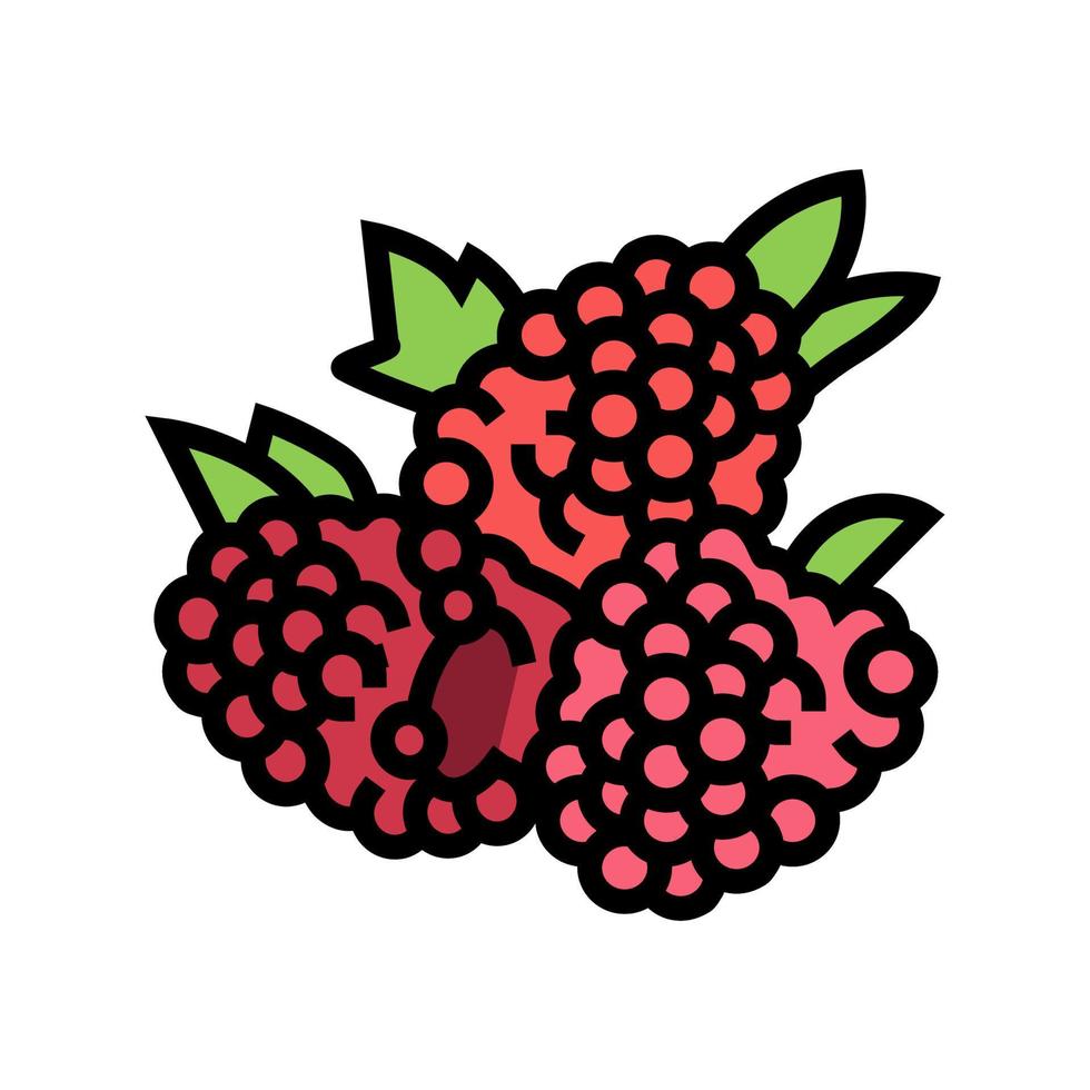 illustration vectorielle de framboise berry couleur icône vecteur