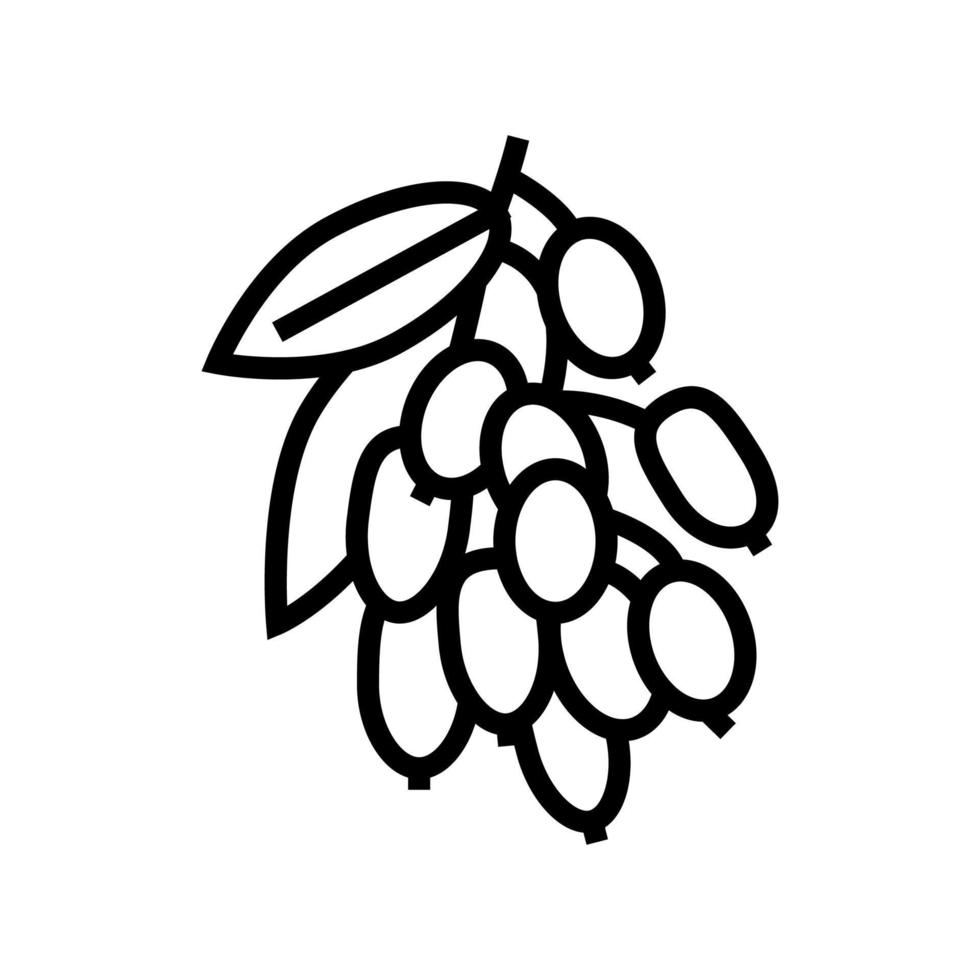 illustration vectorielle de l'icône de la ligne de baies et de feuilles de goji vecteur