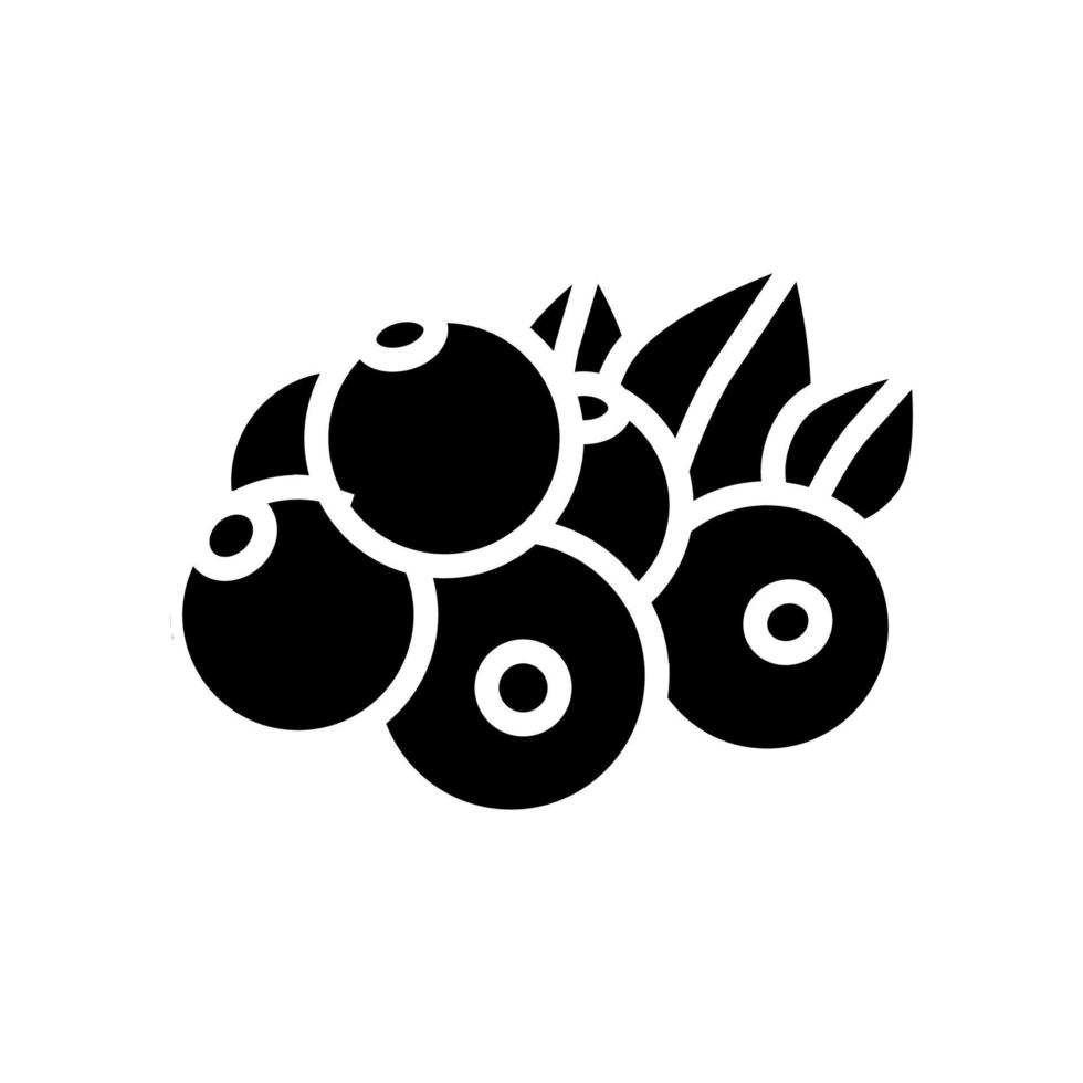 cassis berry icône glyphe illustration vectorielle vecteur