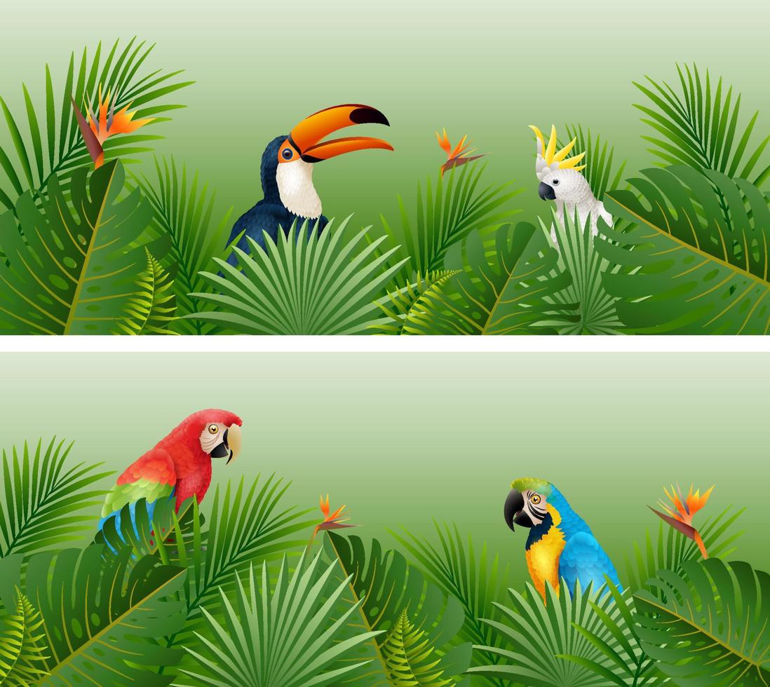 bannière de feuilles de plantes tropicales avec des oiseaux vecteur