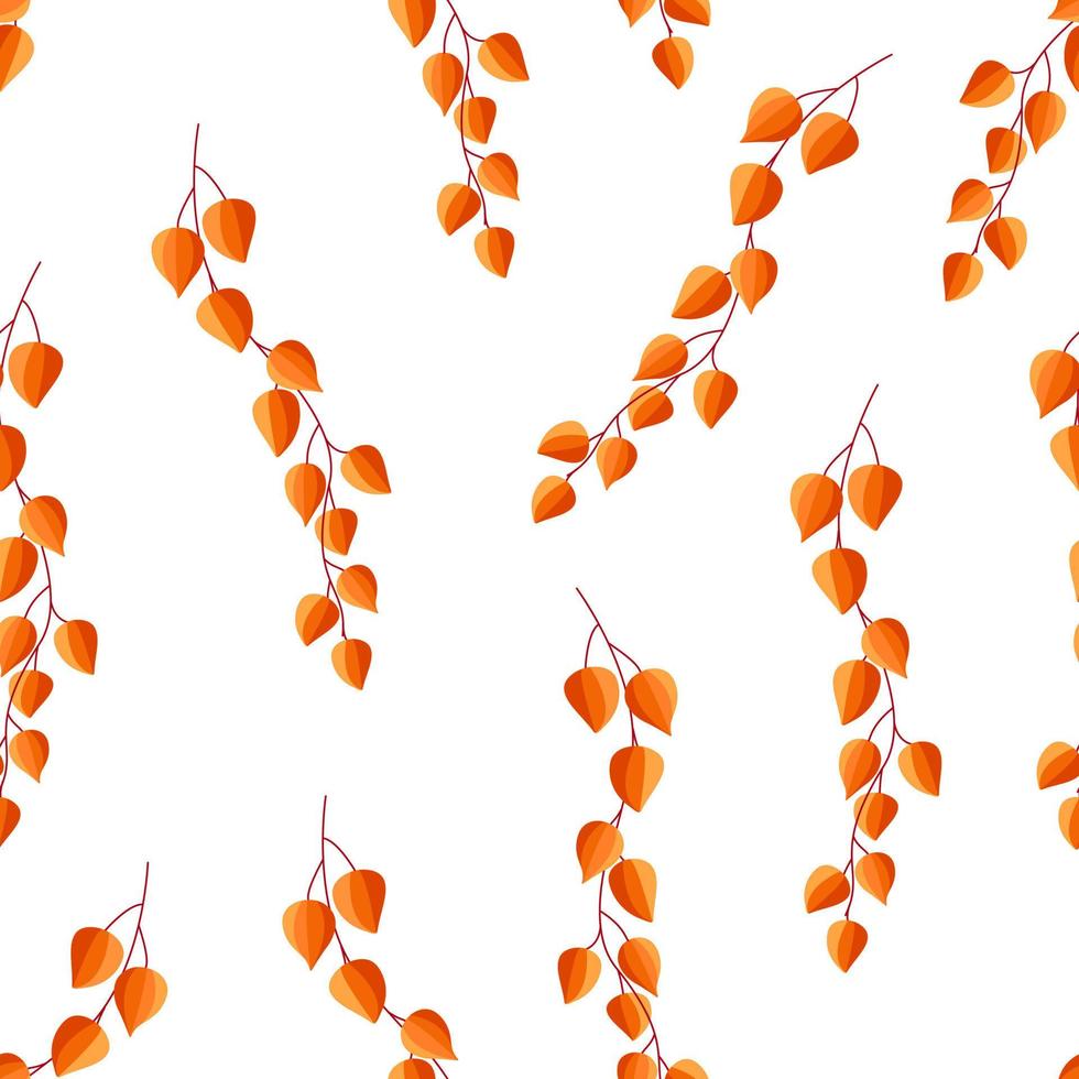 modèle sans couture de lampe de poche physalis, papier peint orange de belles baies d'automne et feuilles de physalis vecteur
