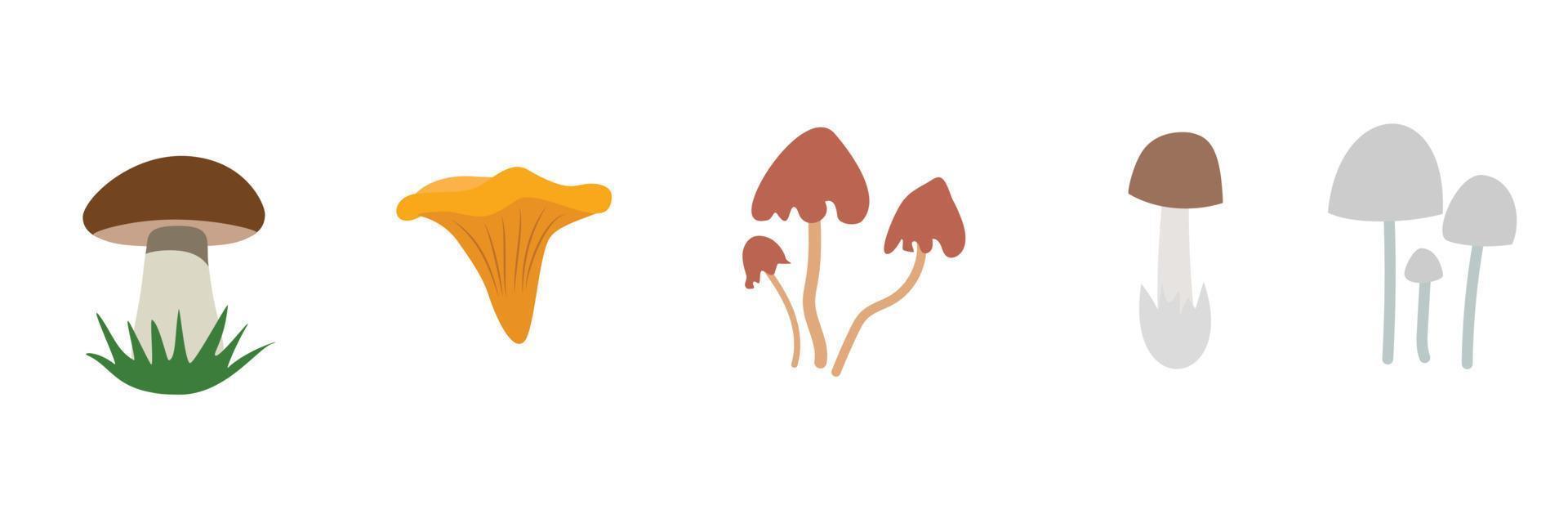 champignons de dessin animé. ensemble d'illustrations vectorielles isolées de champignons vénéneux et comestibles, chanterelle, cep, amanita et truffe. types de champignons sauvages forestiers. cèpes et girolles bio, champignon vénéneux vecteur