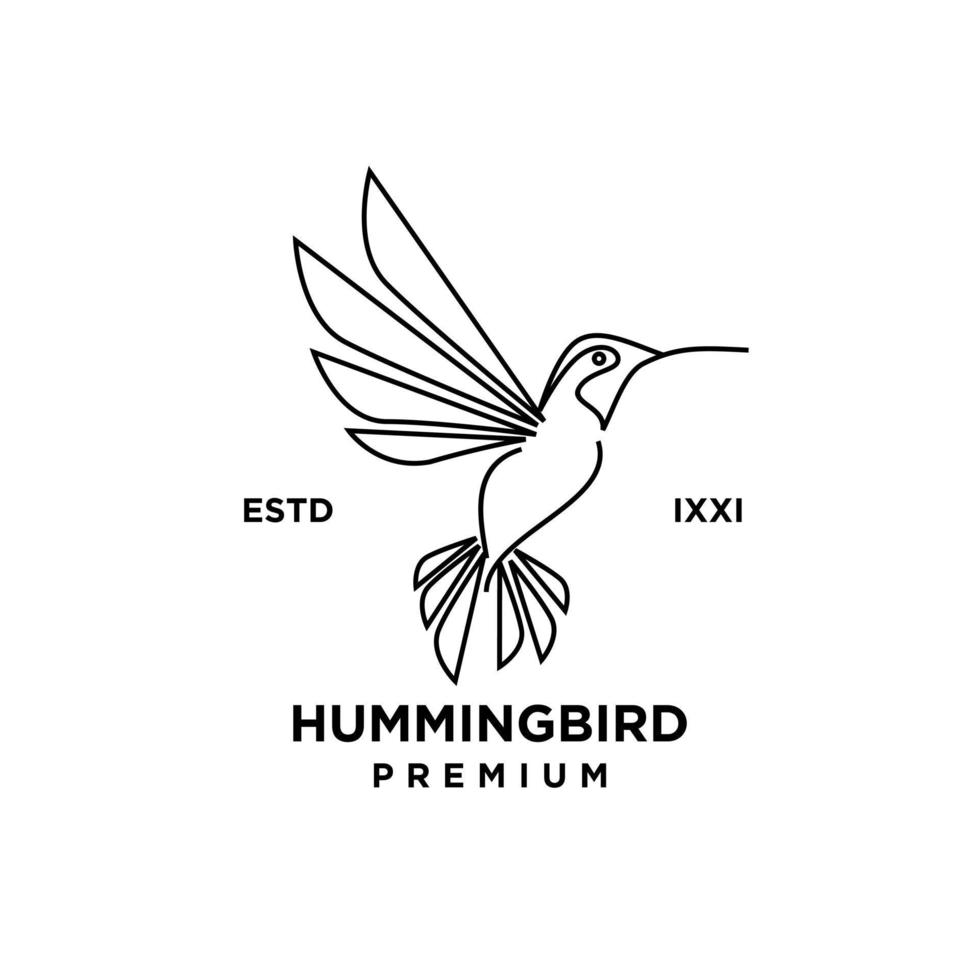 conception d'icône de logo de contour de ligne de colibri vecteur