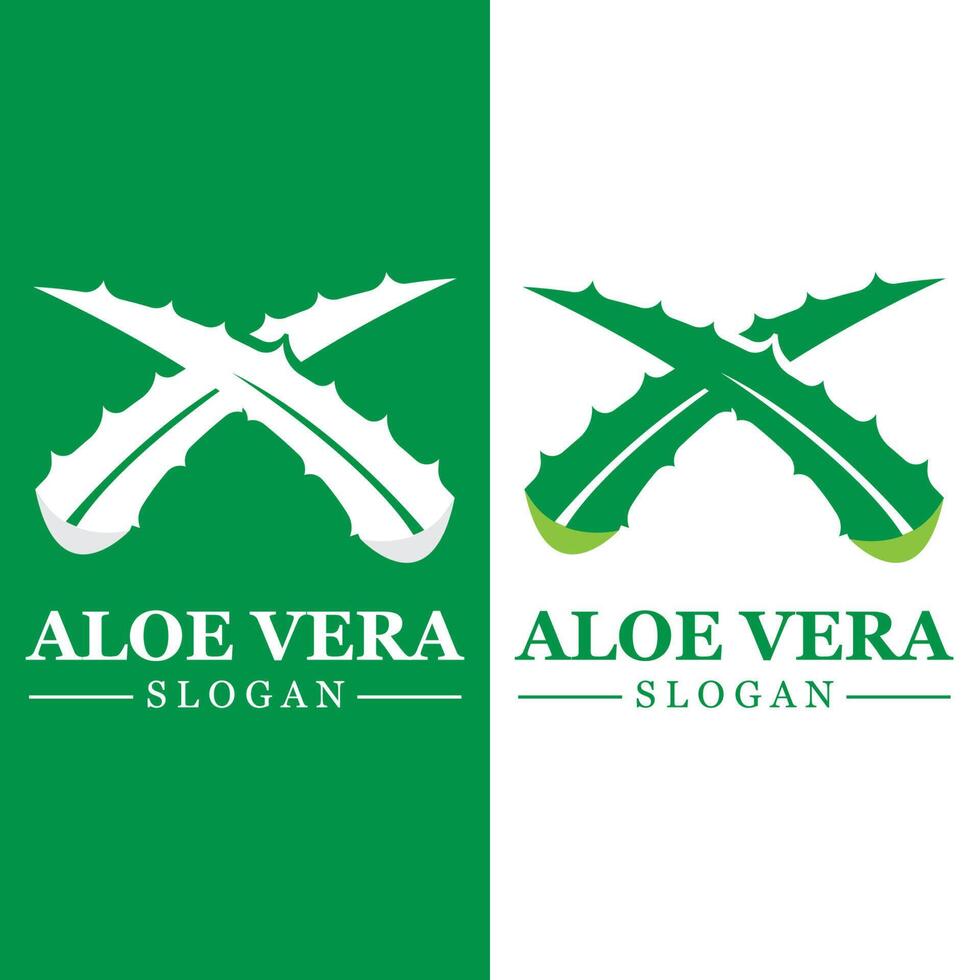 plante verte aloe vera logo vecteur icône symbole de nombreux avantages