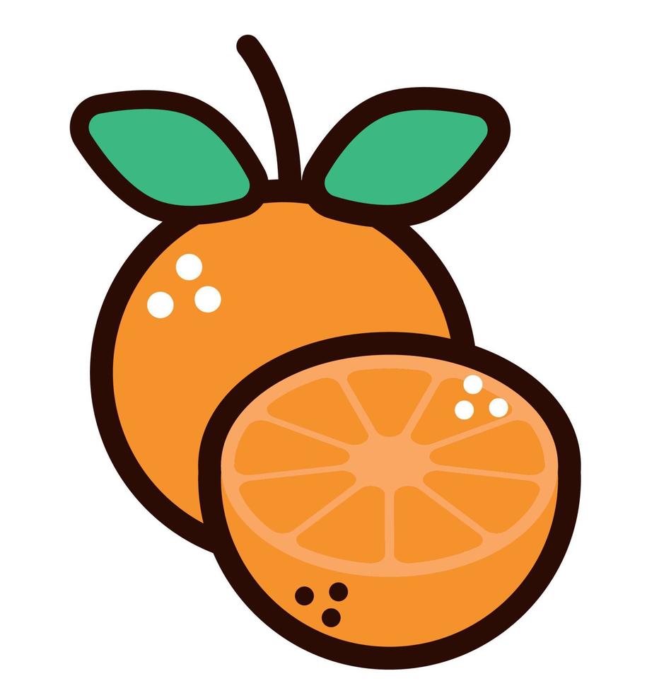 doodle de fruits oranges fraîches vecteur