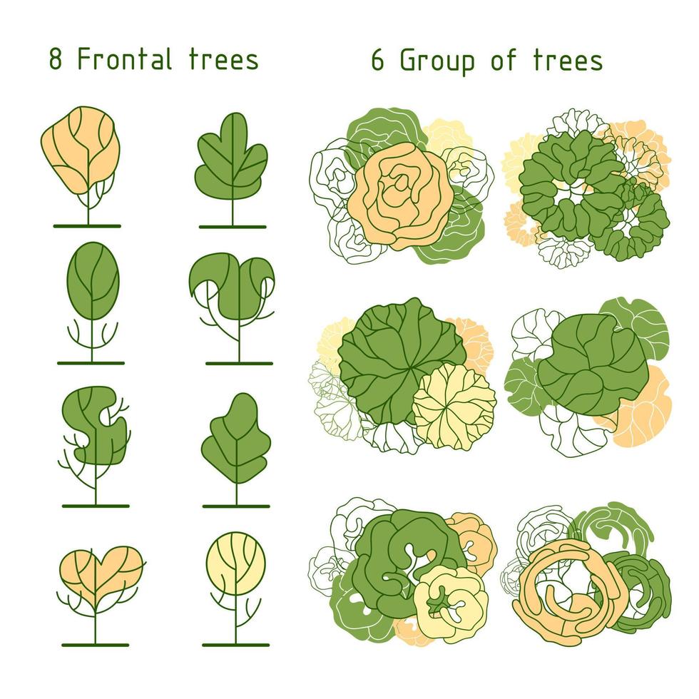 arbre pour les plans d'étage architecturaux. conception d'entourage. divers arbres, buissons et arbustes, vue de dessus pour le plan d'aménagement paysager. vecteur