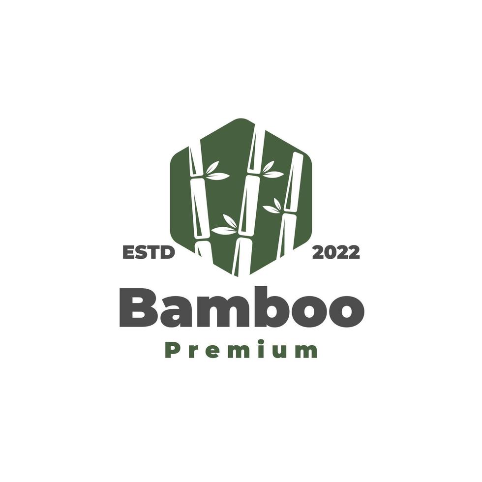 plat vert hexagone bambou vector illustration logo