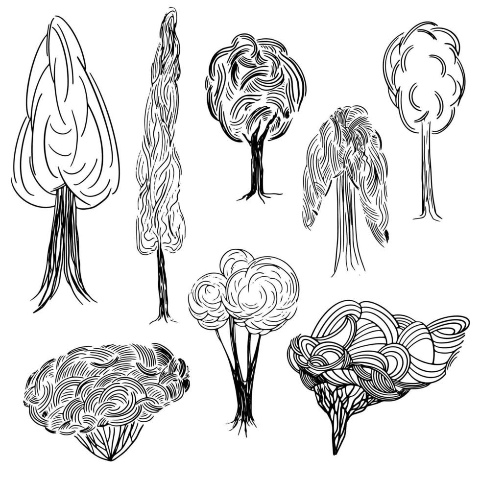 ensemble vectoriel de différents buissons et arbres dans un style graphique dessiné à la main.