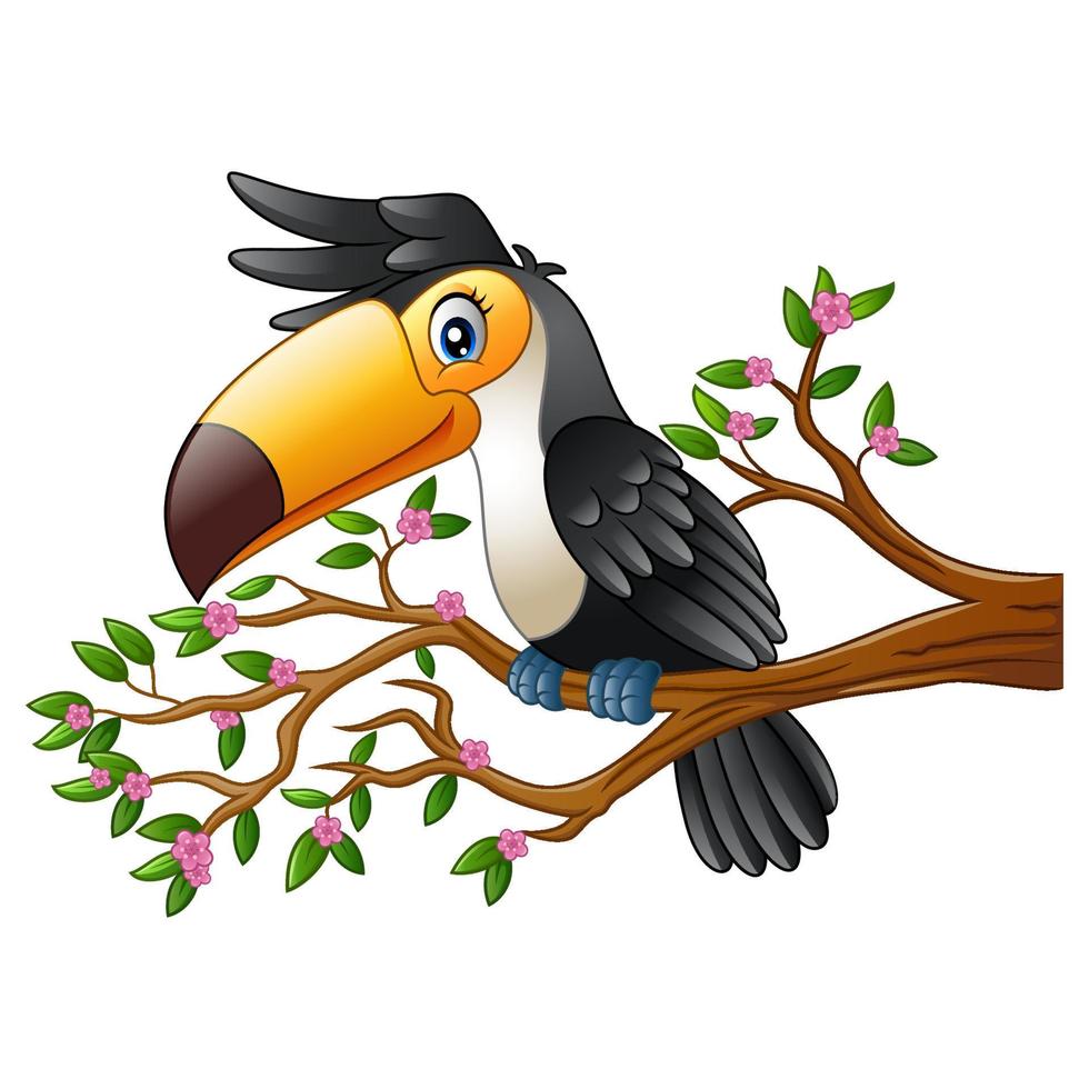 toucan drôle de dessin animé sur une branche d'arbre vecteur