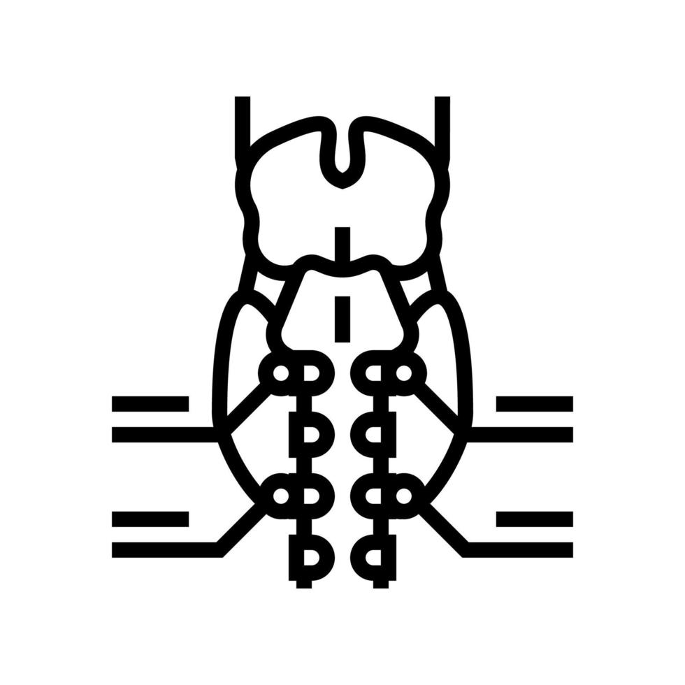 illustration vectorielle de l'icône de la ligne d'endocrinologie de la glande parathyroïde vecteur