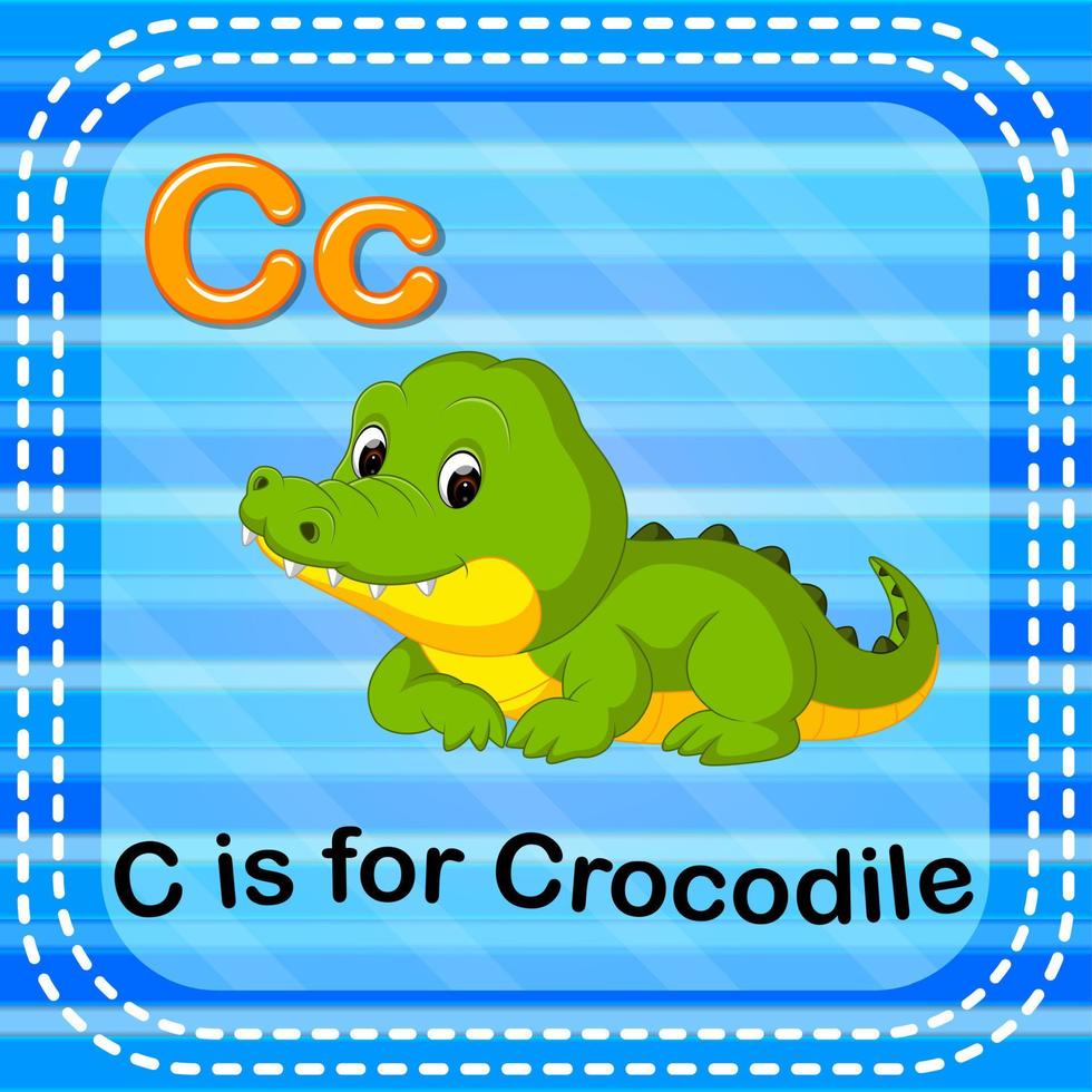 flashcard lettre c est pour le crocodile vecteur