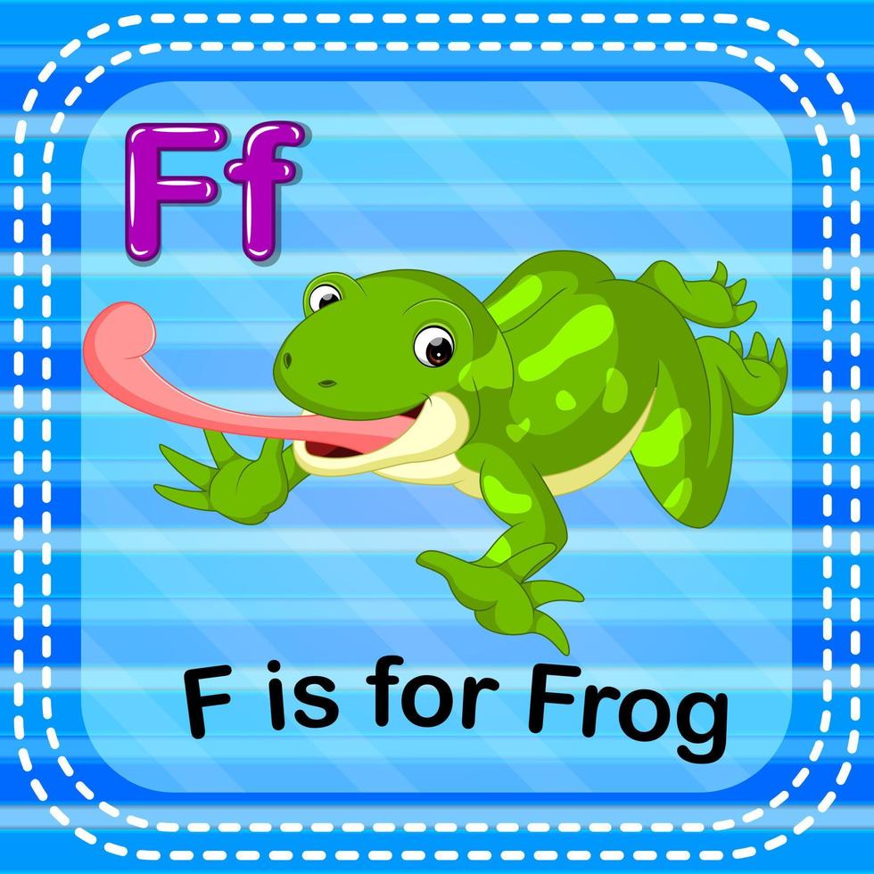 flashcard lettre f est pour grenouille vecteur