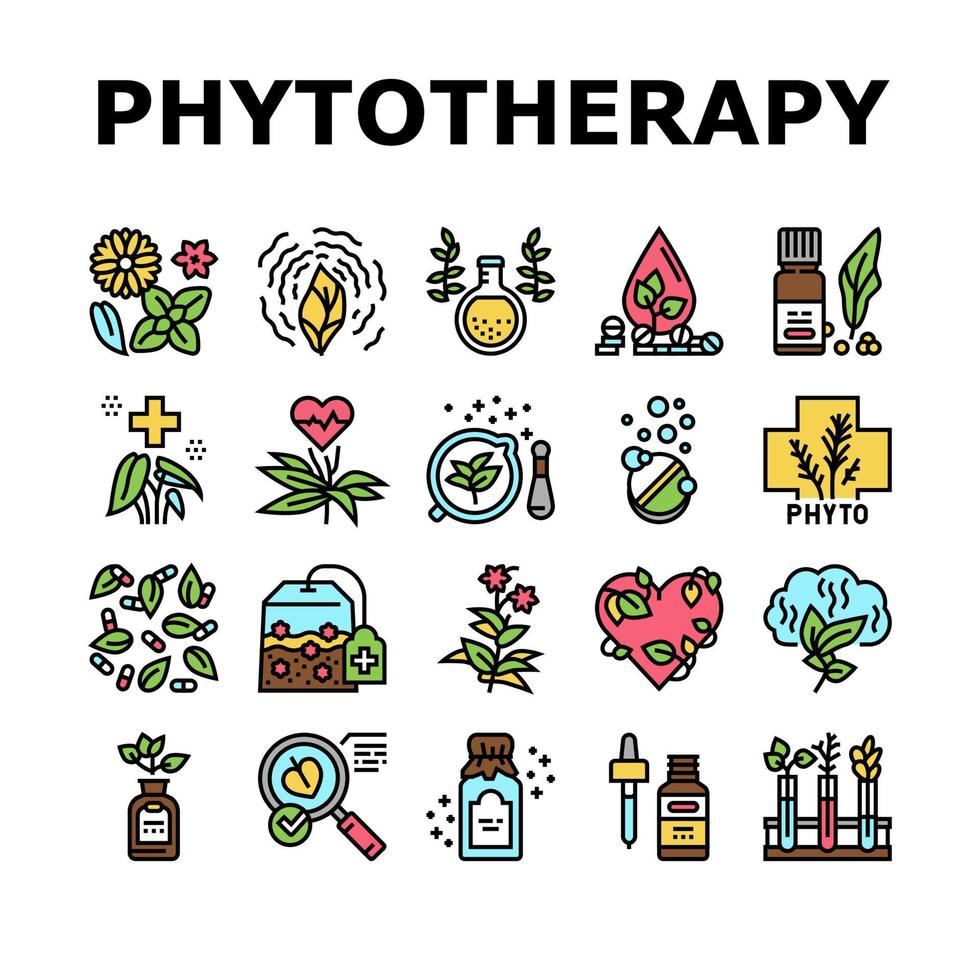 collection de traitement de phytothérapie icons set vector