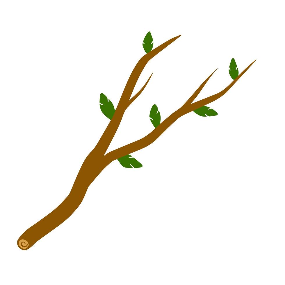 branche d'arbre avec feuille sur fond blanc illustration. élément végétal du bois et de la nature. illustration simple et plate vecteur