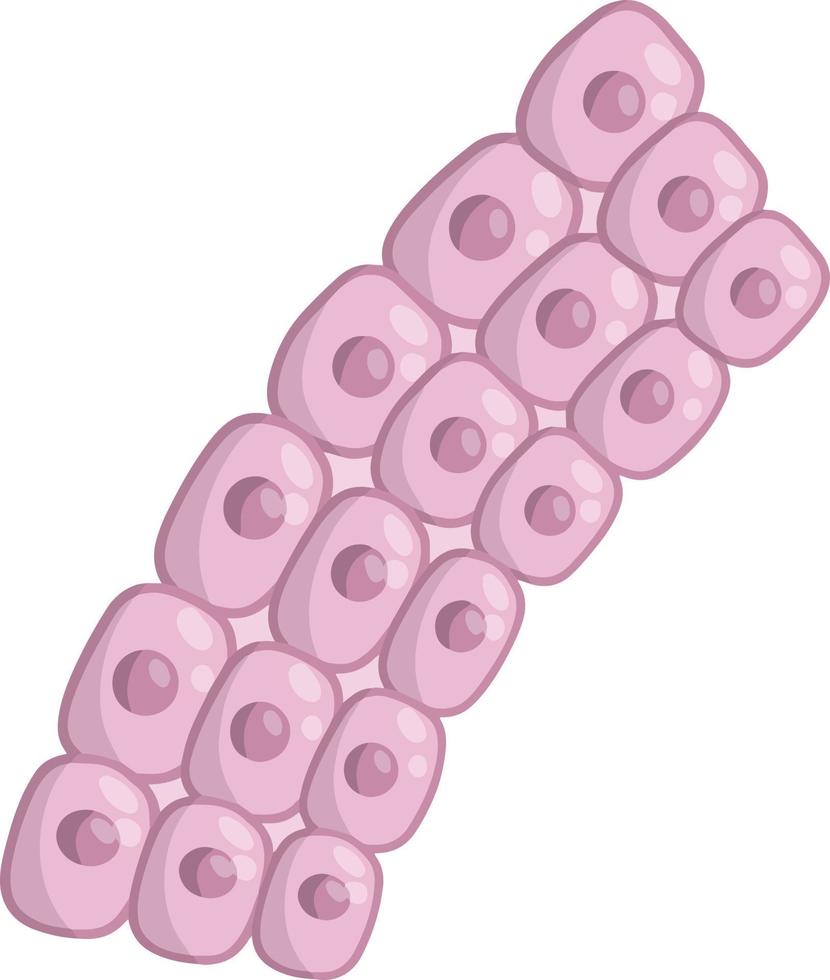 cellule de l'organisme humain. illustration plate de dessin animé vecteur
