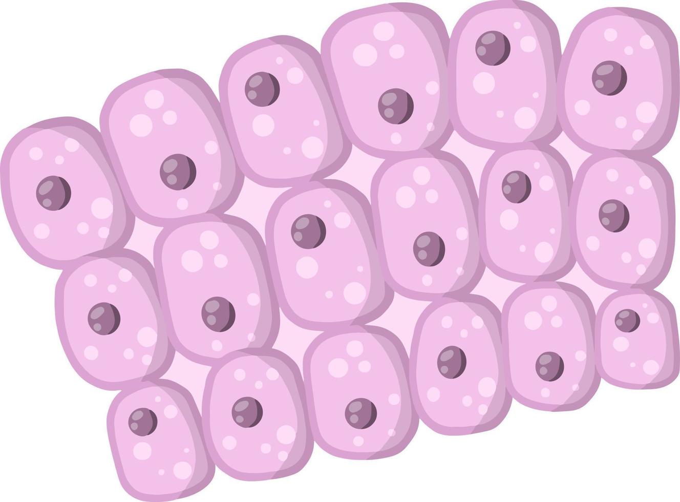 cellule de l'organisme humain. illustration plate de dessin animé vecteur
