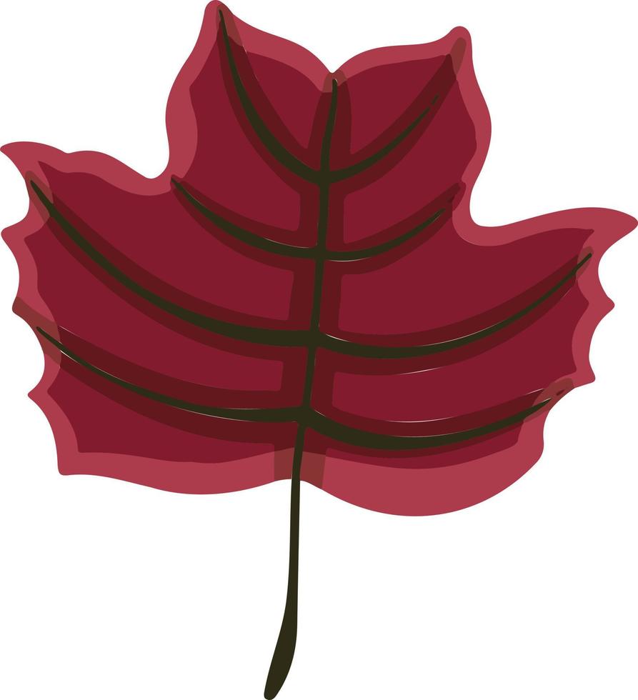 feuille plante arbre coloré dessin illustration symbole vecteur