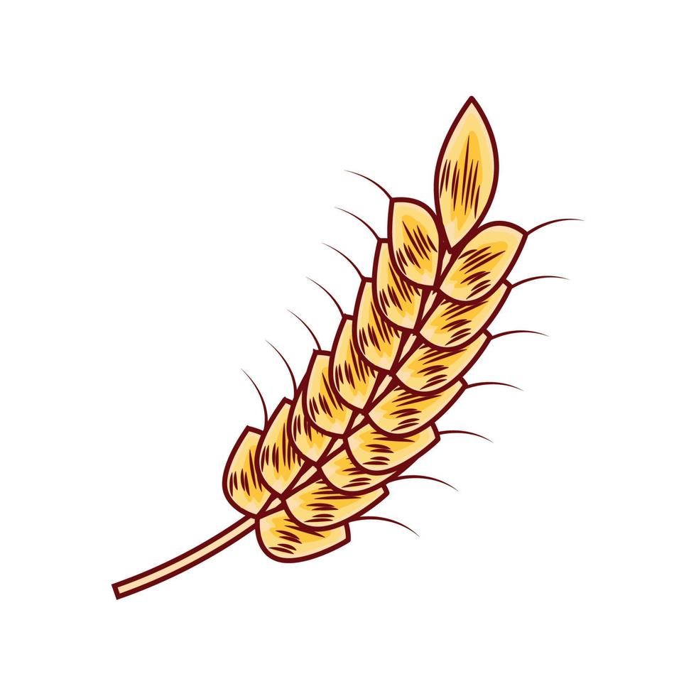 icône de pointe de blé vecteur