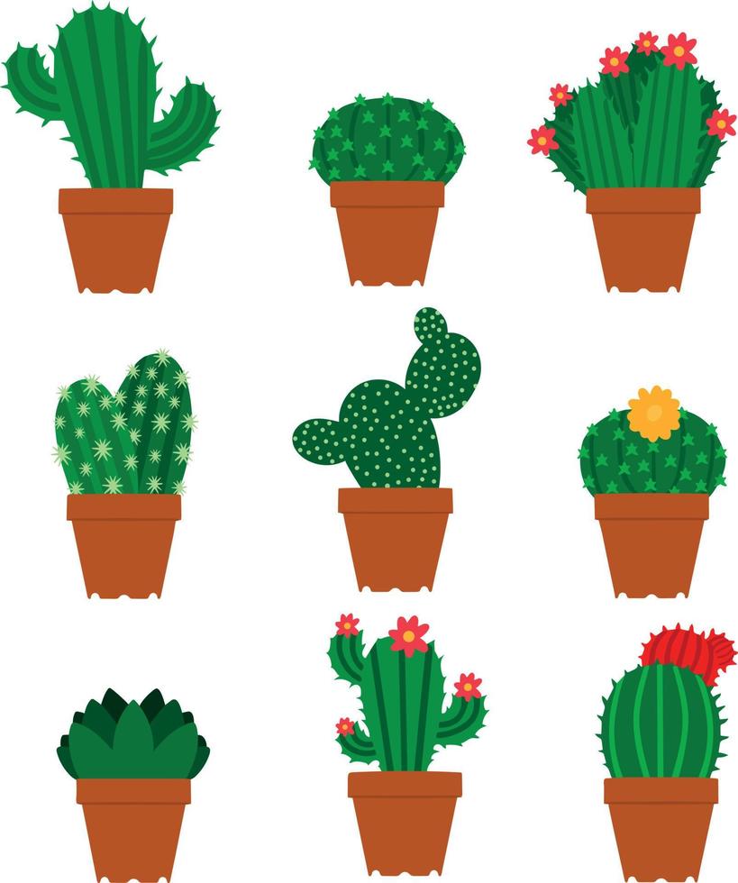 ensemble de différents types de cactus. illustration vectorielle. cactus épineux et fleuris. collection de cactus en diapositive fleur isolé sur fond blanc. élément de conception pour affiches brochures bannières vecteur